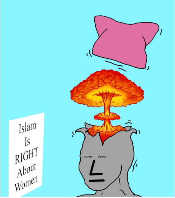 islam women pussy hat npc.JPG