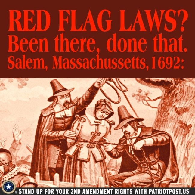 red flag gun control.jpg