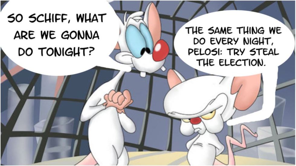schiff pelosi pinky rat.JPG