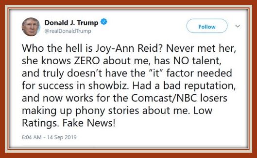 tt fake news.JPG
