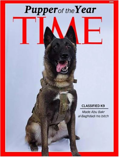 american hero dog time
