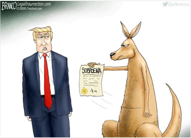 branco kangeroo trump.JPG