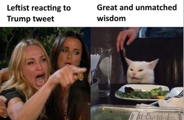 cat left right.JPG