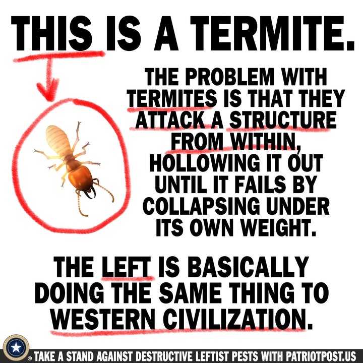democrat termite.jpg