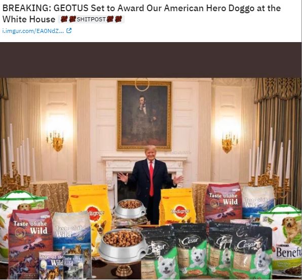 dog dinner.JPG
