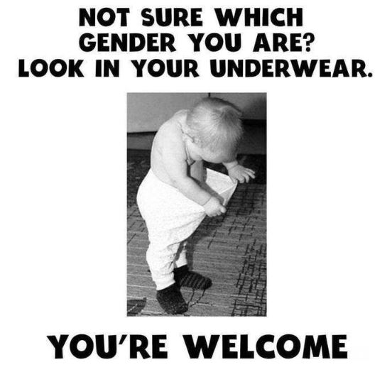 gender.JPG