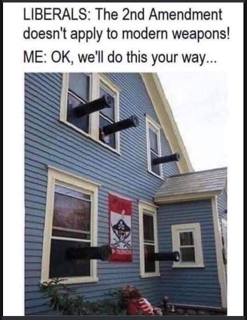 gun control second amendment.JPG
