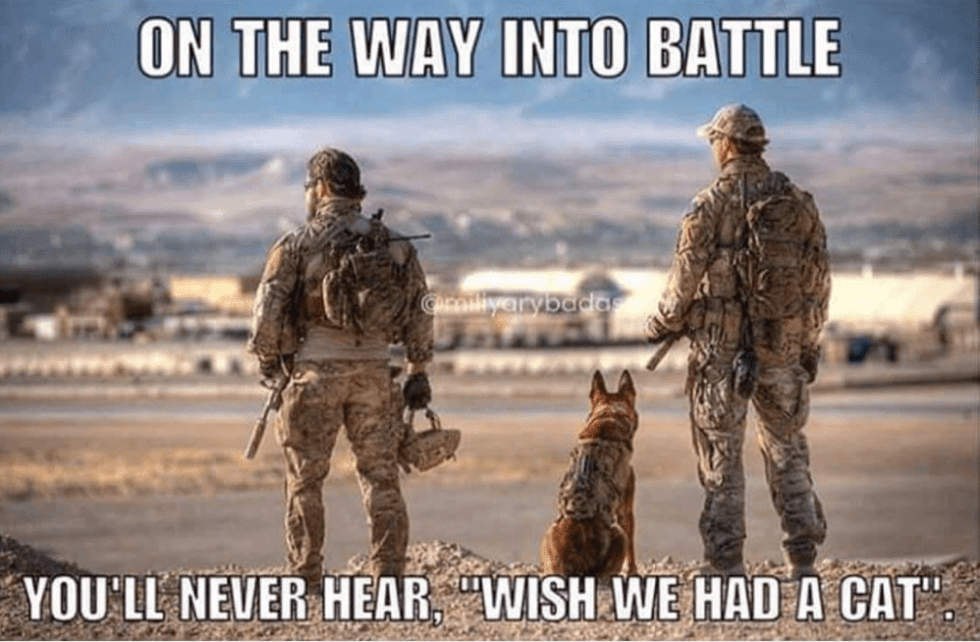 hero dog 1.png