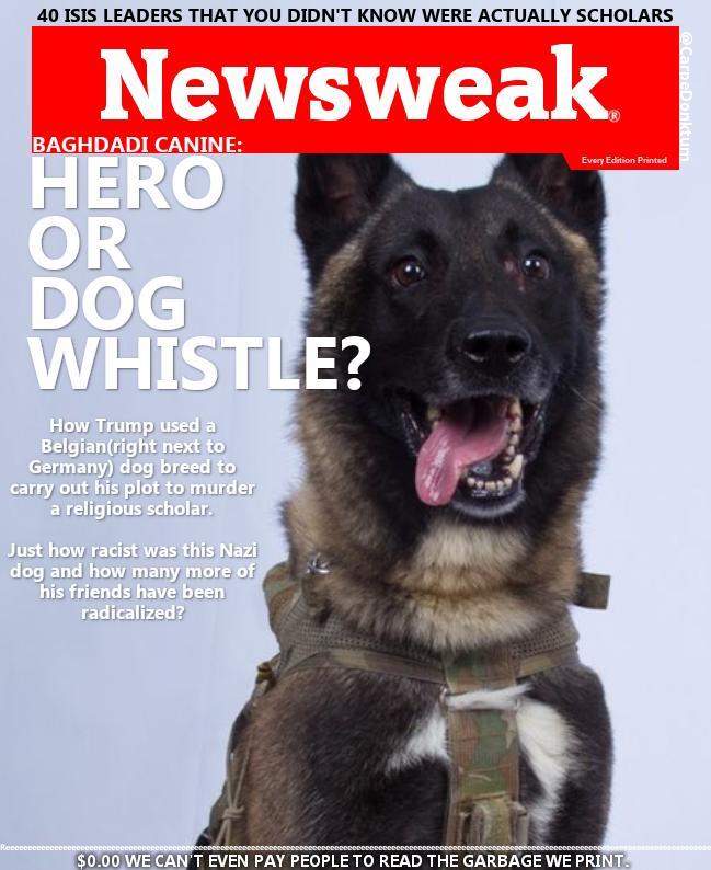 hero dog 2.jpeg