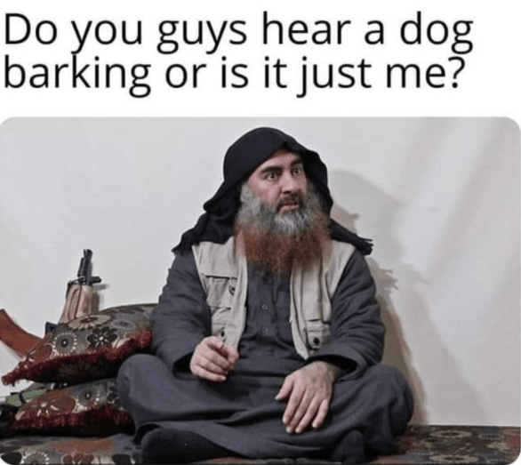 hero dog 3.png