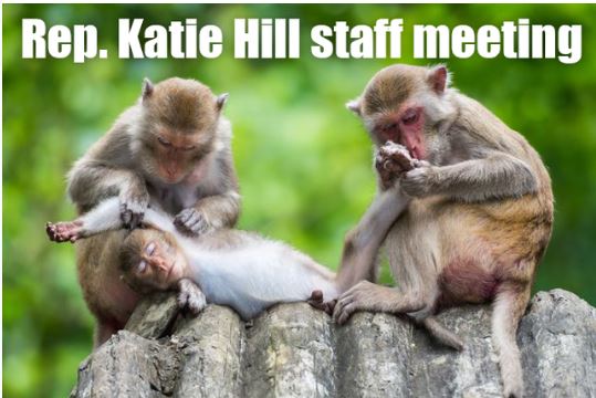 katie hill.JPG