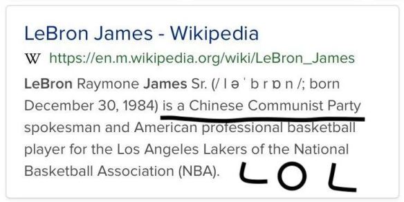 lebron james wiki.JPG
