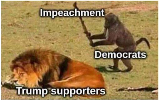 lion monkey democrat impeach.JPG