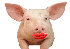 lipstick-pig