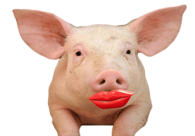 lipstick-pig