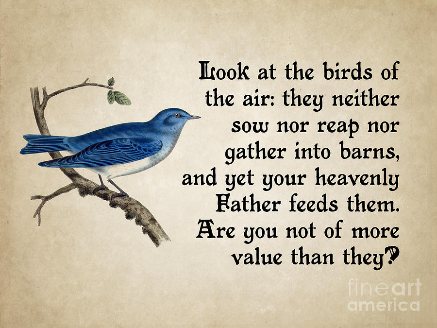look-at-the-birds-of-the-air-god-and-country-prints.jpg