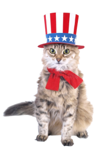patriot_cat-removebg-preview (1).png