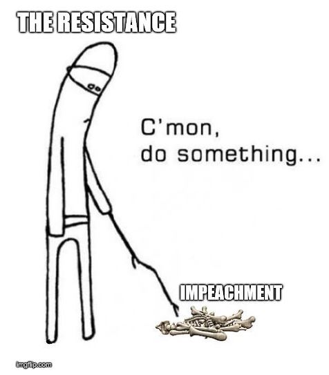 resistance impeach.JPG