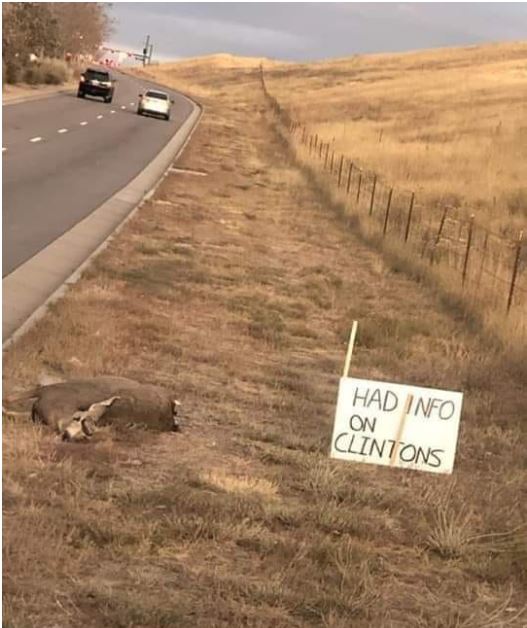 road kill clinton.JPG