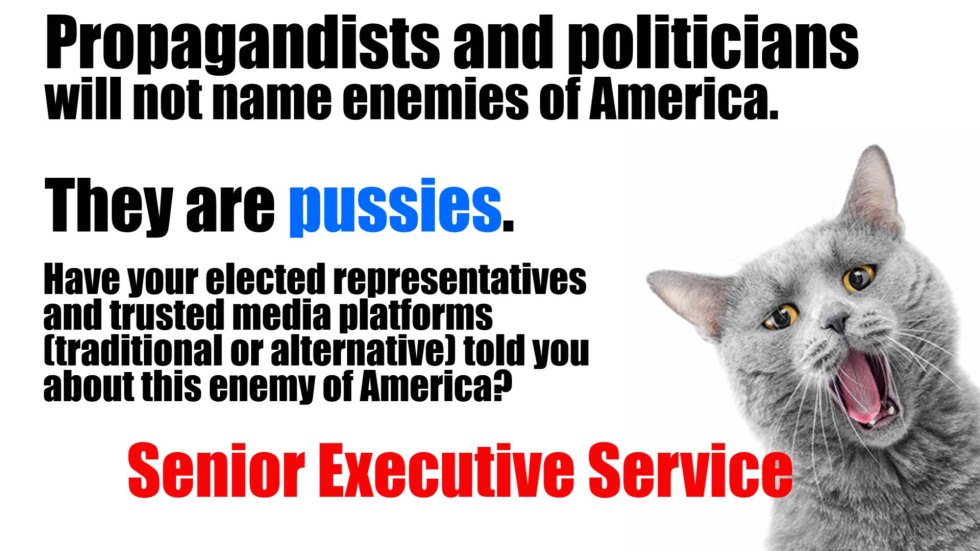 Senior executive service pussy.jpg