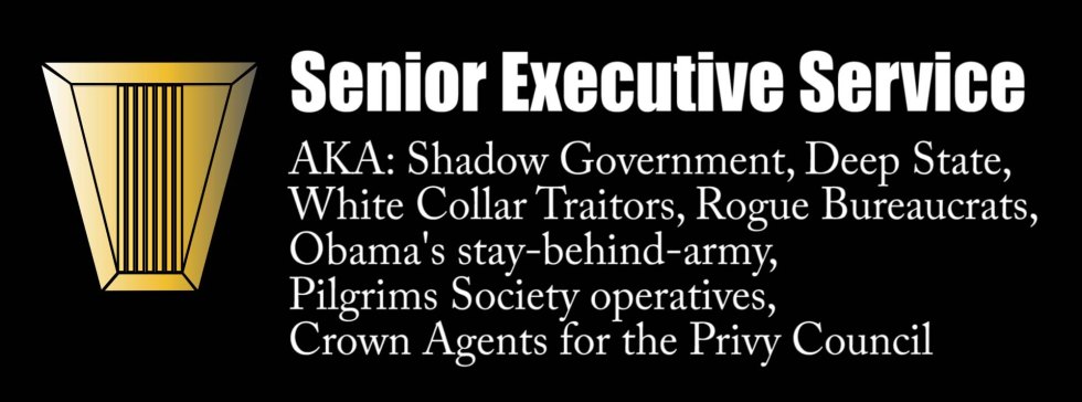 senior executive service ses.jpg