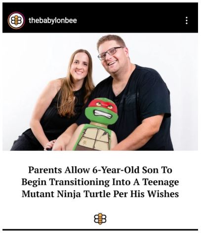 transgender ninja turtle.JPG