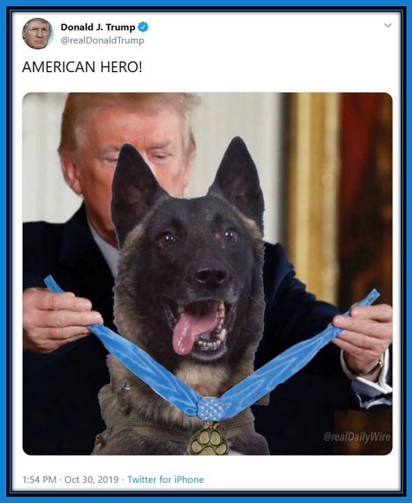 tt american hero dog.JPG