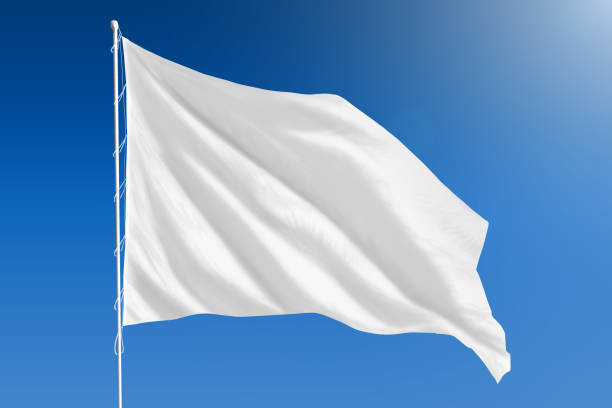 white flag.jpg