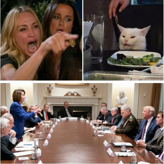 white house meeting pelosi cat.JPG