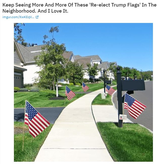 american flags election