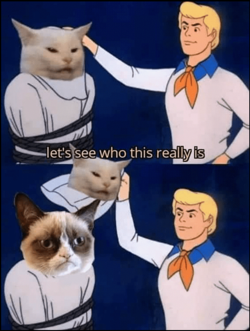 cat meme.png