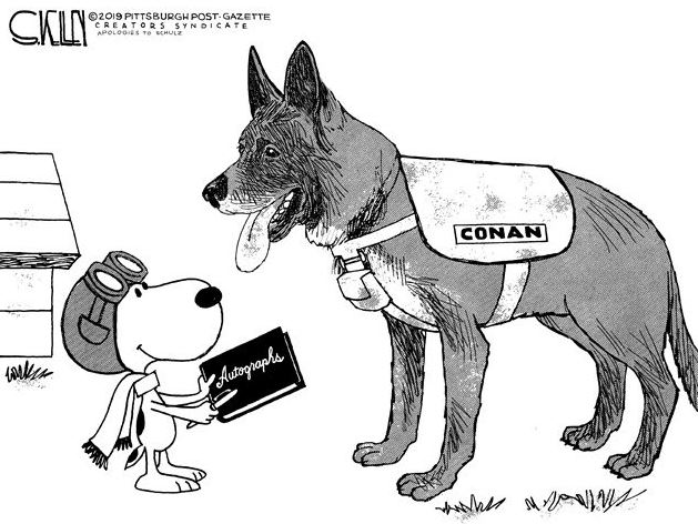 conan dog
