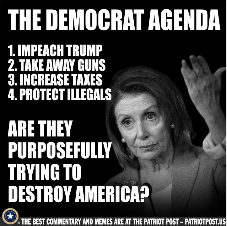 democrat pelosi.JPG