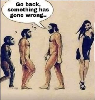 evolution