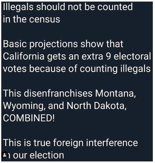 illegal voting.JPG