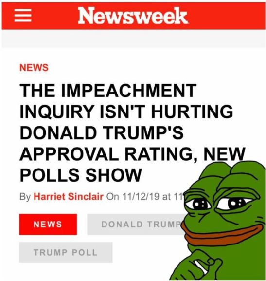 newsweek polls.JPG