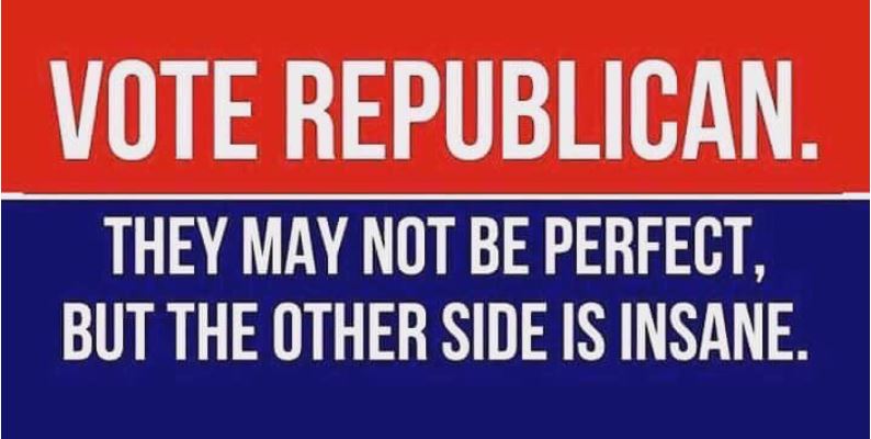 republican vote.JPG