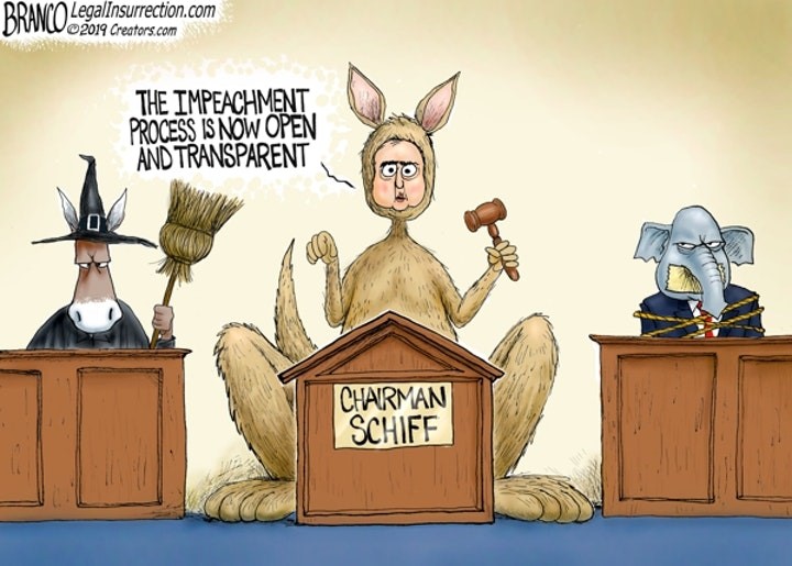 schiff branco kangeroo.jpg