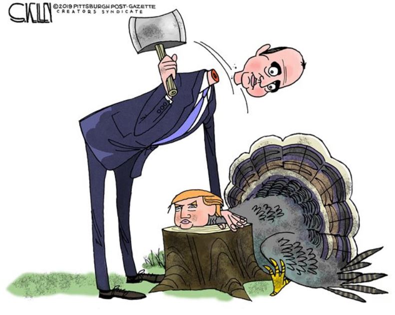 schiff neck turkey.JPG