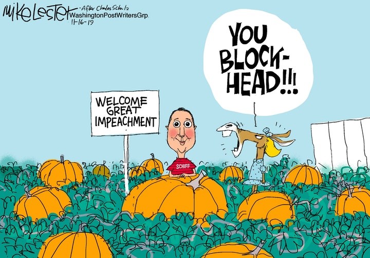 schiff pumpkin patch.jpg