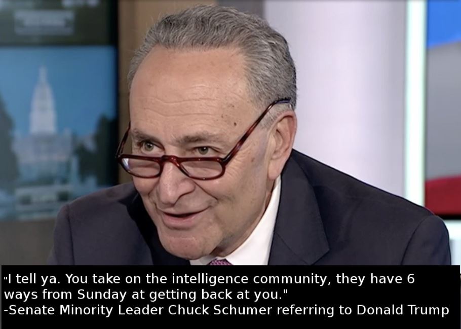schumer six ways to sunday.JPG