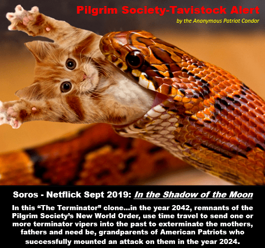 soros netflix cat viper.png