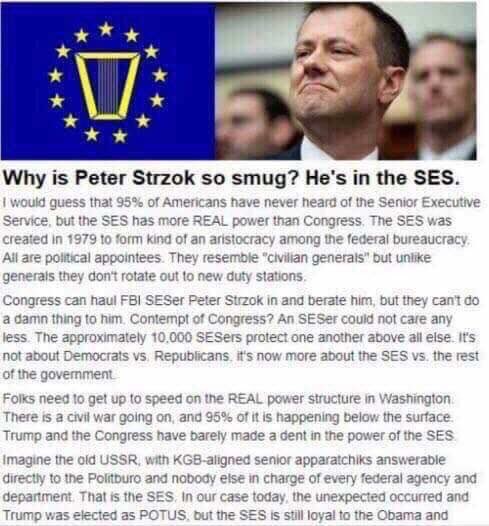 strzok ses.jpg