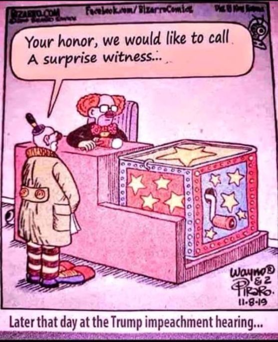 surprise witness!!.jpg