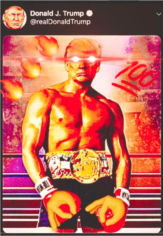 trump fighter colorized.JPG