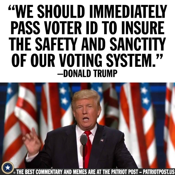 voter id election.jpg