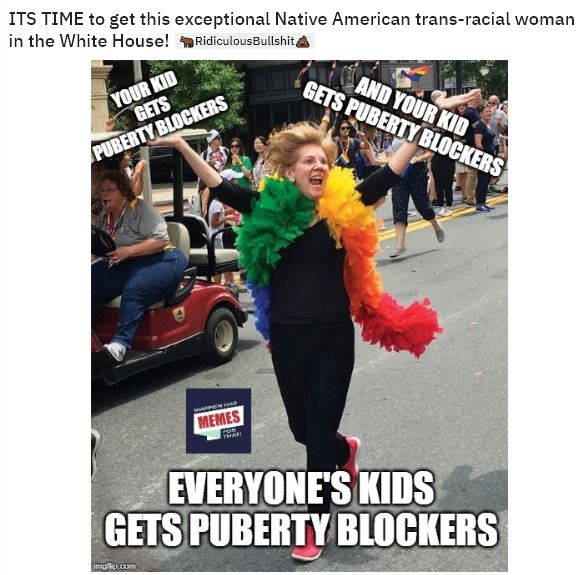 warren meme 7.JPG