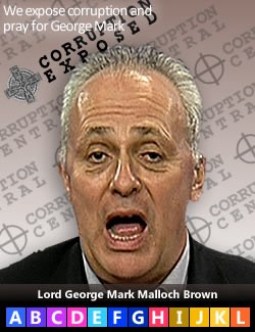 afi malloch brown.jpg