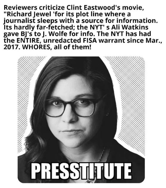 ali watkins presstitutes.JPG