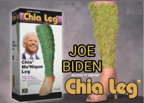 biden chia legs.jpg